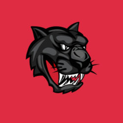 Heavy Blend Youth Crewneck Sweatshirt Design