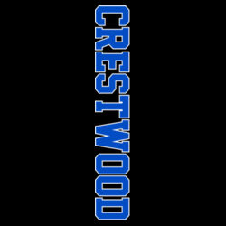 Toddler Pullover Fleece Hoodie Design