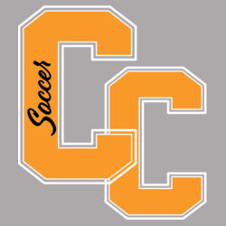 Heavy Blend Hooded Sweatshirt Design