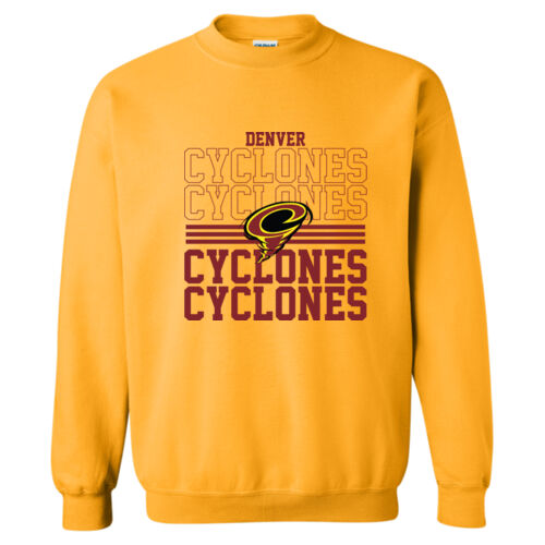 Denver Cyclones Thumbnail
