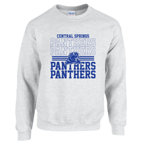 Central Springs Panthers Thumbnail