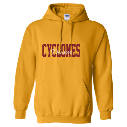 Denver Cyclones Thumbnail