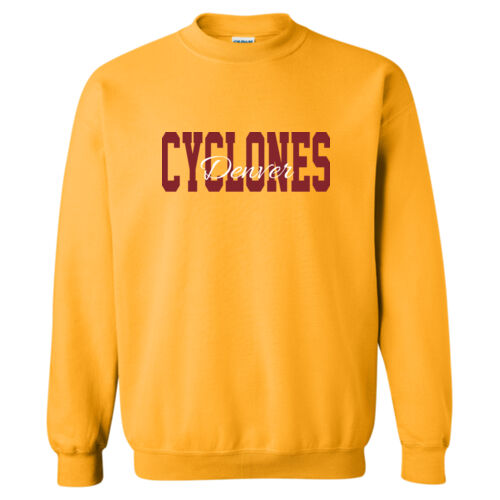 Denver Cyclones Thumbnail