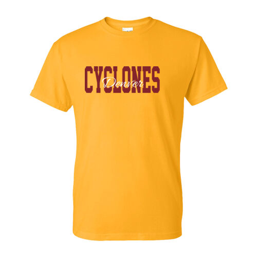 Denver Cyclones Thumbnail