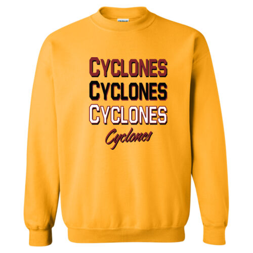 Denver Cyclones Thumbnail